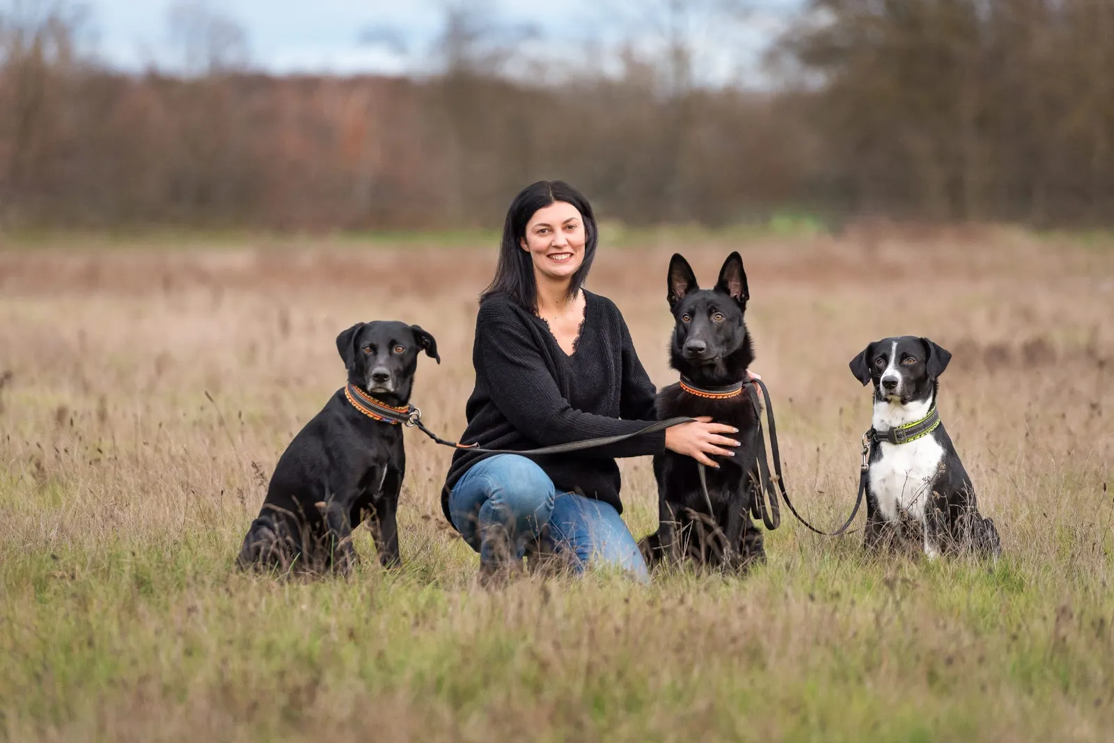 Hundetraining mit Leinengewusel